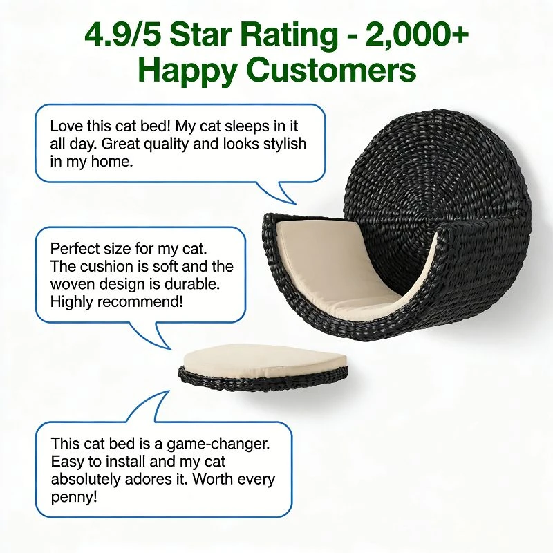 product-800-800 product-800-800